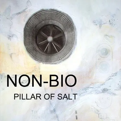 Pillar of Salt — Non-Bio
