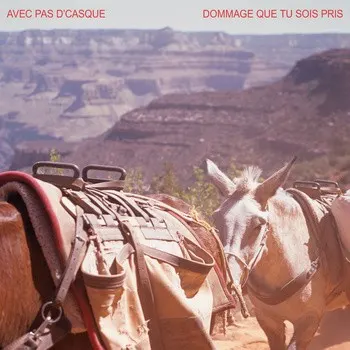 Dommage que tu sois pris — Avec pas d'casque