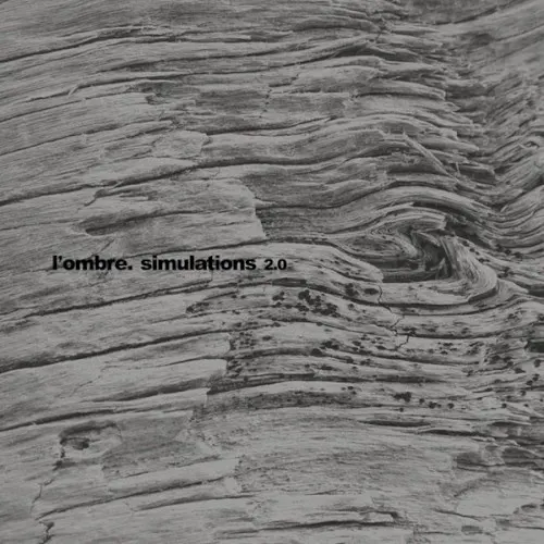 Simulations 2.0 — L'ombre