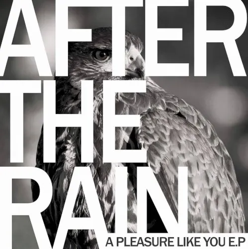 A Pleasure Like You E.P. — After The Rain