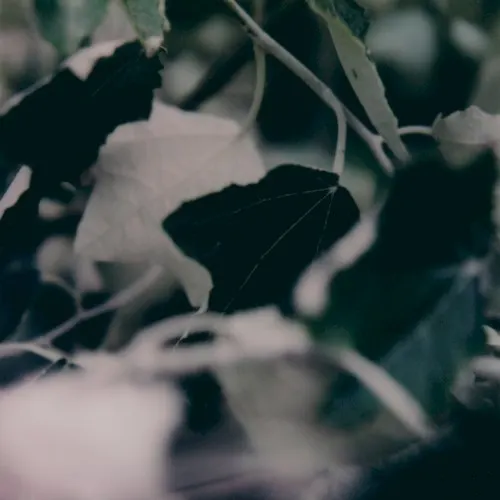 Underwritten II — Benoit Pioulard