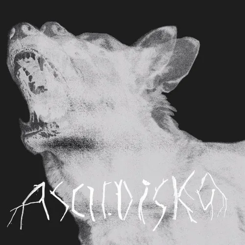 Moshpit Poetry — Ascii.Disko