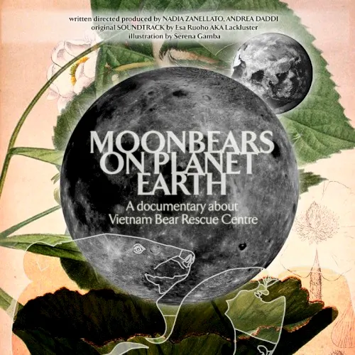 Moonbears on Planet Earth: Original Soundtrack — Lackluster