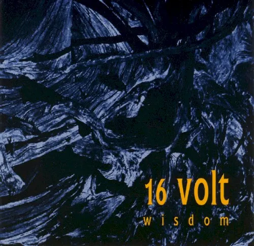 Wisdom — 16Volt
