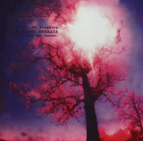 In Blind Embrace (Songs From the Shadows) — Controlled Bleeding