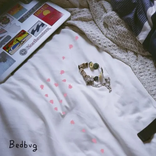 Buzzing Like a Bug in the Snow — bedbug