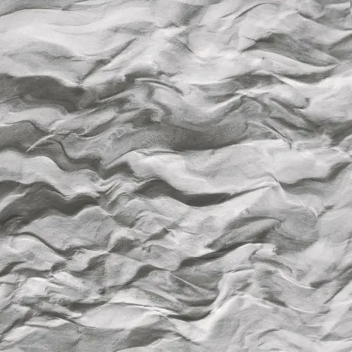 Journey — Black Reuss