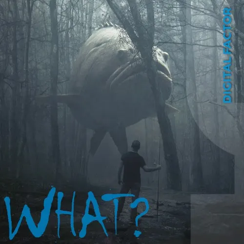 What? — Digital Factor