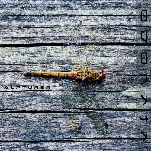 Odonata — Alpturer