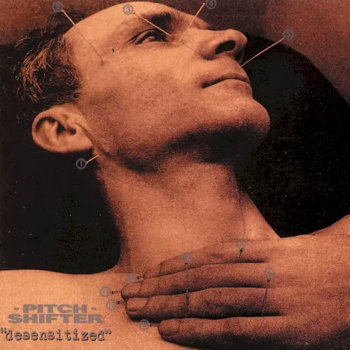 Desensitized — Pitchshifter