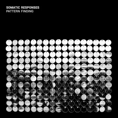 Pattern Finding — Somatic Responses