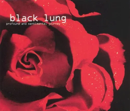 Profound and Sentimental Journey — Black Lung