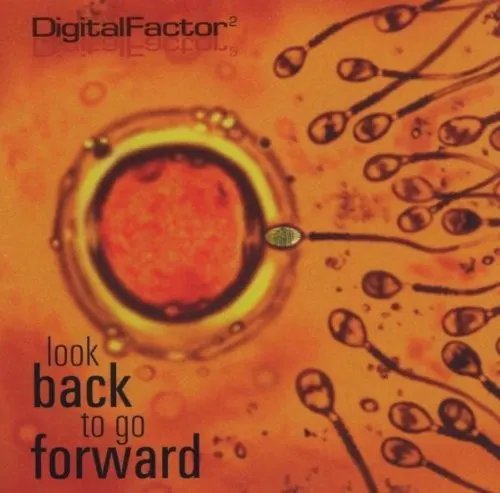 Look Back to Go Forward — Digital Factor