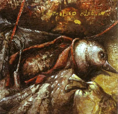 Dub Songs From a Shallow Grave — Controlled Bleeding