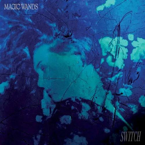 Switch — Magic Wands