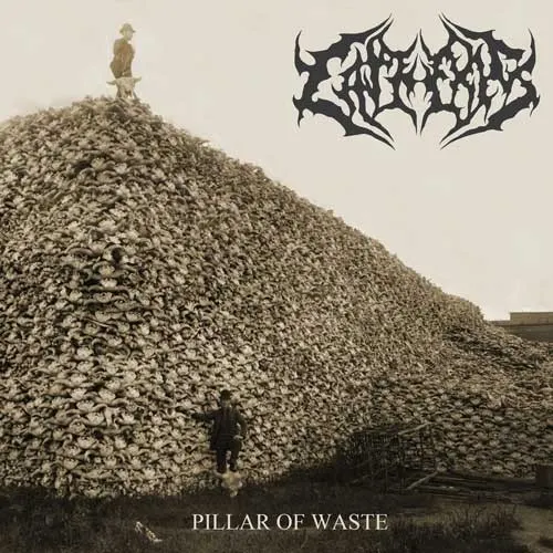 Pillar of Waste — Cathexis