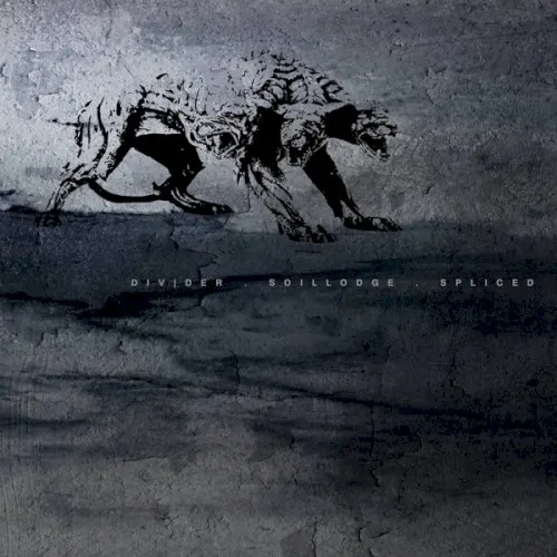 Spliced — 14. Divider