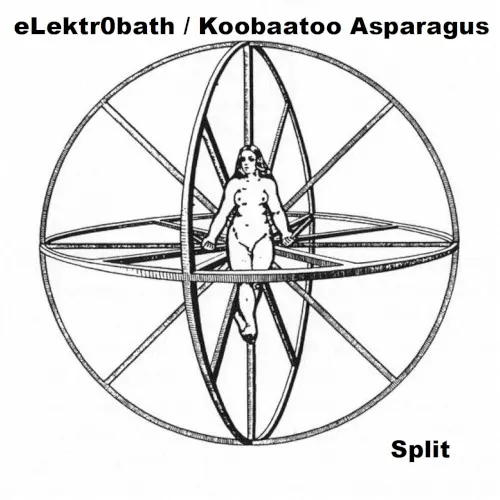 eLektr0bath / Koobaatoo Asparagus — Koobaatoo Asparagus