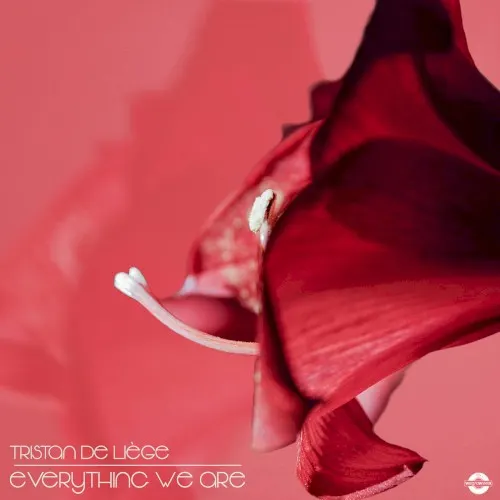 Everything We Are — Tristan de Liège