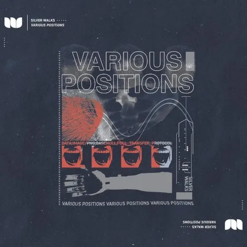 Various Positions — Silver Walks