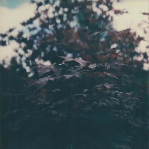 Underwritten V — Benoit Pioulard