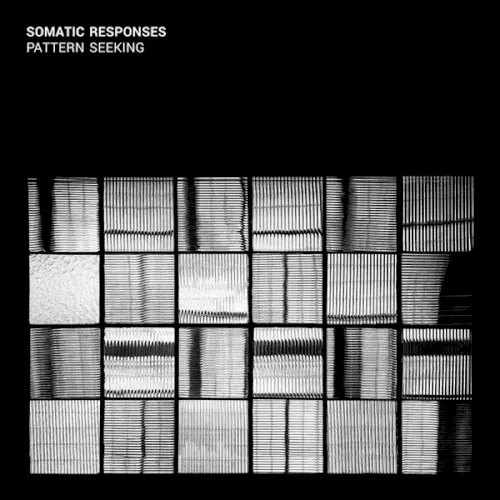Pattern Seeking — Somatic Responses