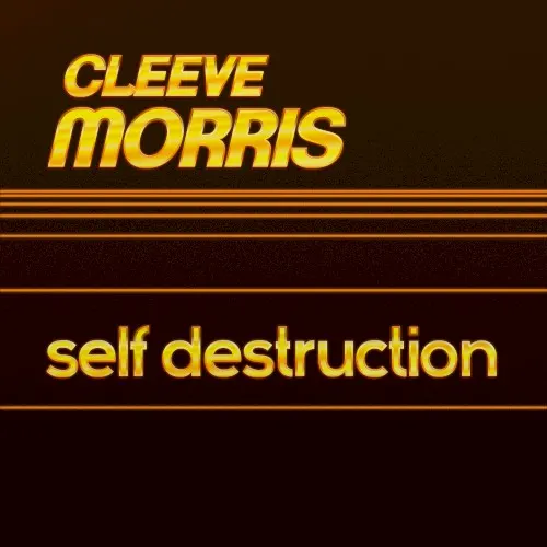Self Destruction — Cleeve Morris