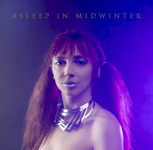 Asleep in Midwinter — Ships In The Night
