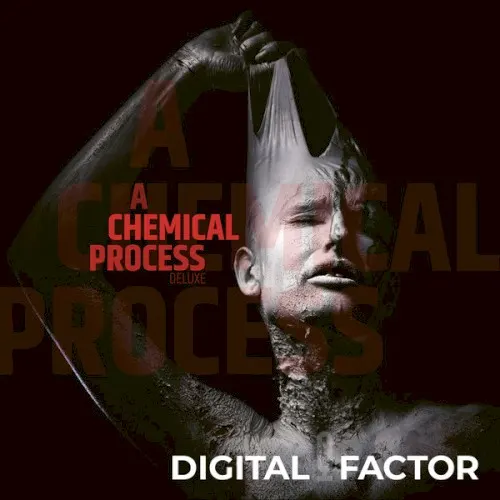 A Chemical Process — Digital Factor