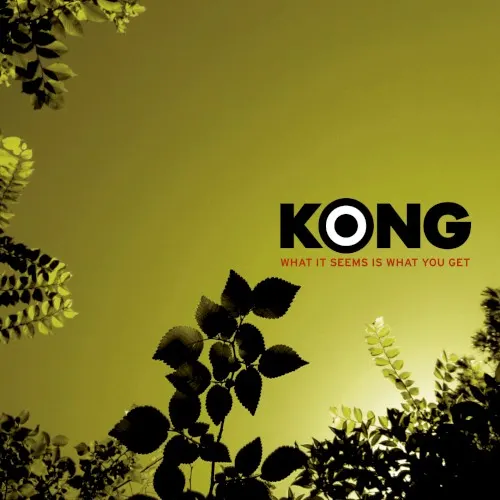 What It Seems Is What You Get — Kong