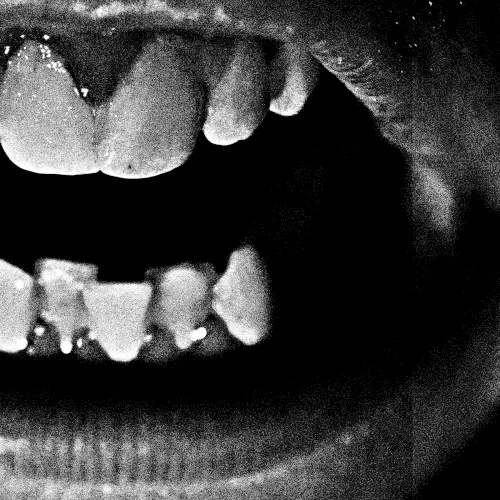 Fake — Corvax