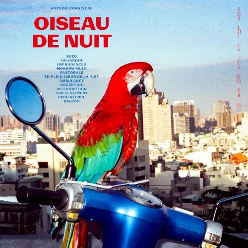 Oiseau de nuit — Antoine Corriveau