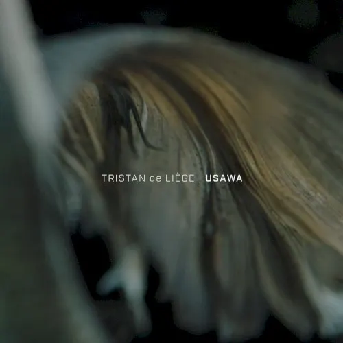 Usawa — Tristan de Liège
