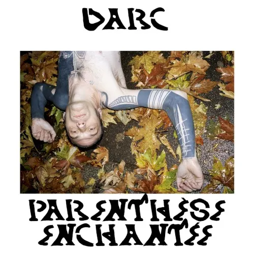Parenthèse enchantée — Daniel Darc