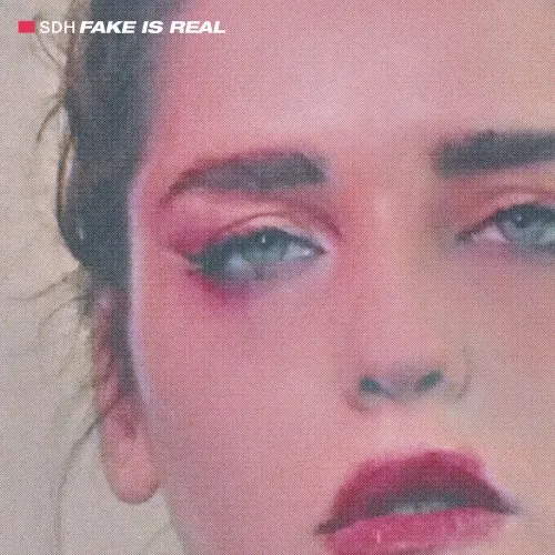 Fake is Real — SDH
