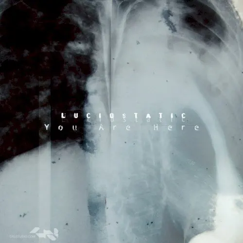 You Are Here — Lucidstatic