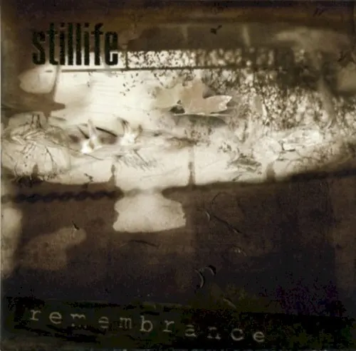 Remembrance — Stillife