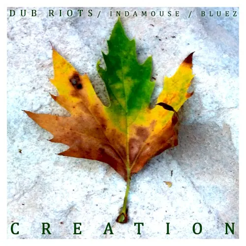 Creation — Dub Riots