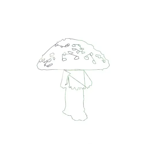 The Geometry of a Mushroom — Omri Cohen