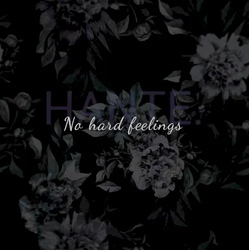 No Hard Feelings — Hante.