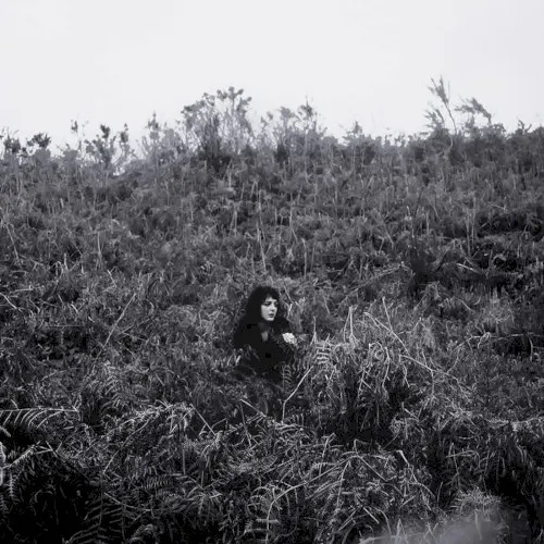 Pyrrhic — Elaine Malone