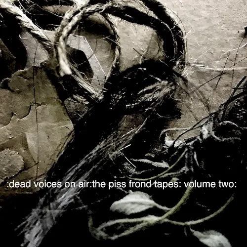 The Piss Frond Tapes Volume Two — 01. Dead Voices On Air