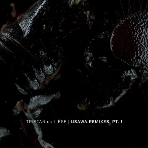Usawa Remixes, Pt. 1 — Tristan de Liège