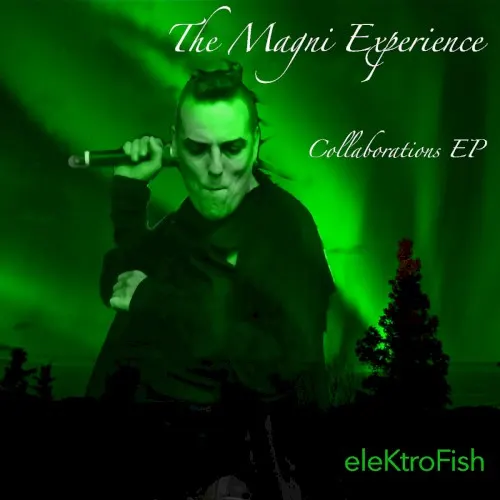 The Magni Experience - Collaborations — eleKtroFish