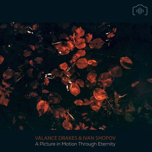 A Picture In Motion Through Eternity — Valance Drakes