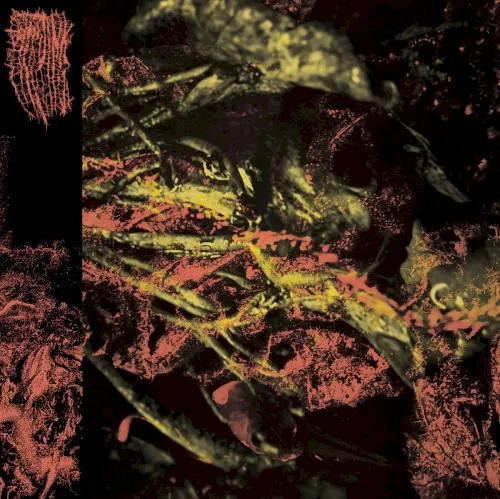 Permanent Destitution — Hissing