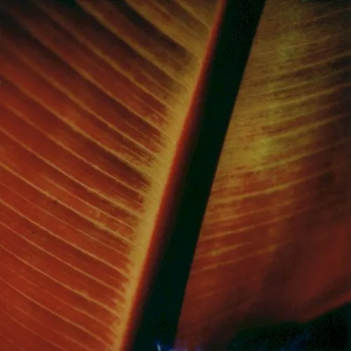 Underwritten IV — Benoit Pioulard
