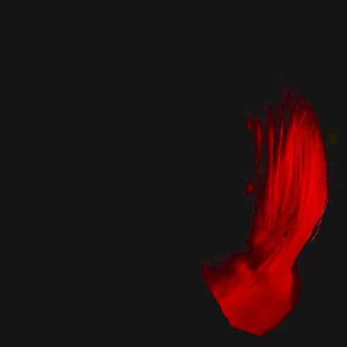 things Only THE daRk knows — JJ Lovegrove