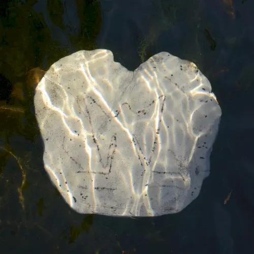 L'eau et les rêves — N NAO