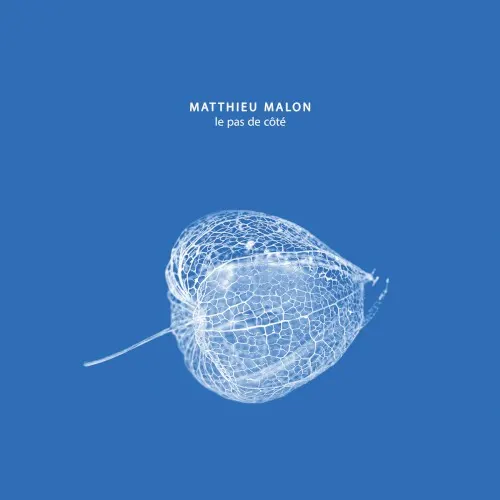Le pas de côté — Matthieu Malon